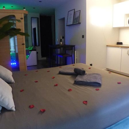 נאנט Appartement Balneotherapie Et Sauna Hyper Centre מראה חיצוני תמונה