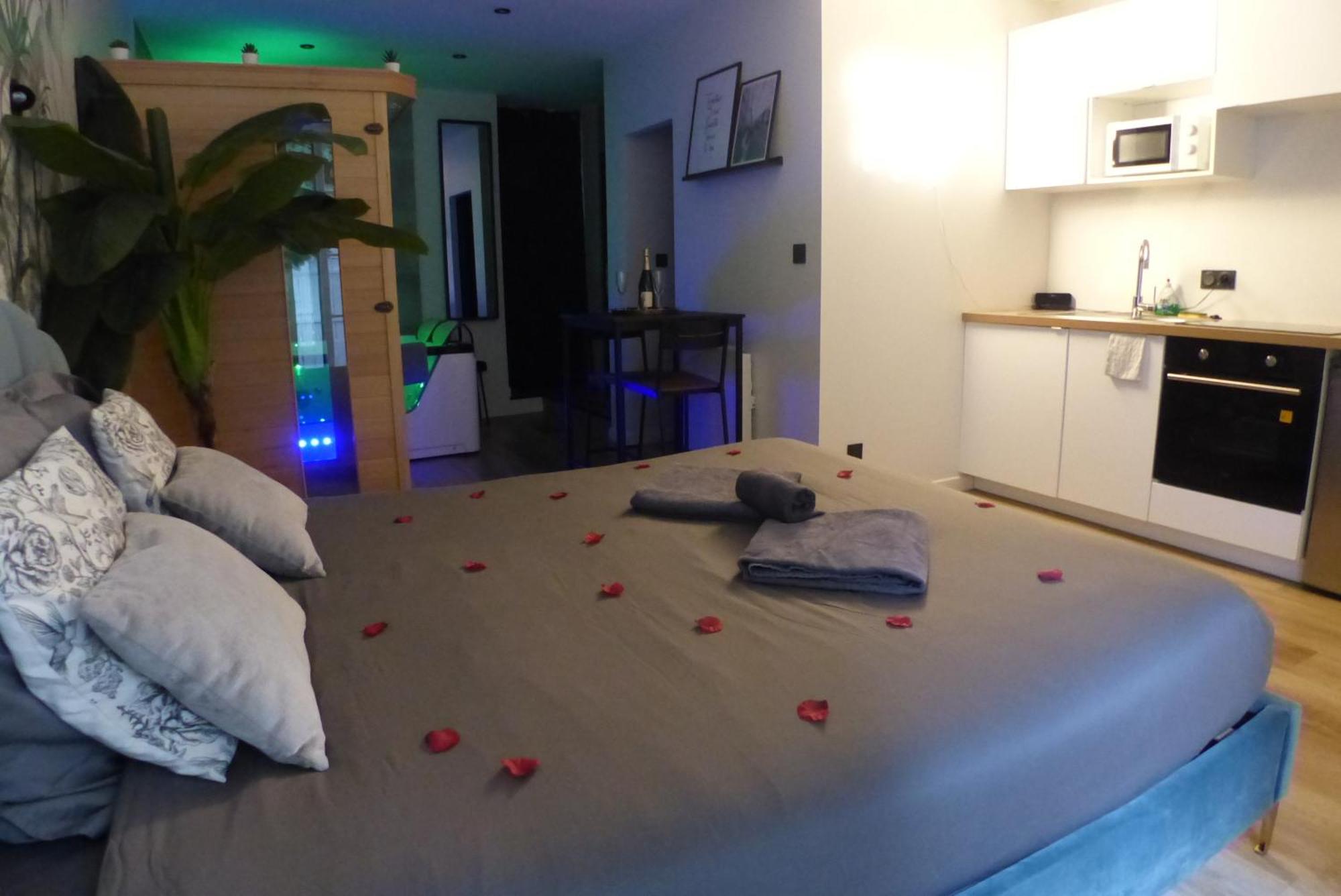 נאנט Appartement Balneotherapie Et Sauna Hyper Centre מראה חיצוני תמונה