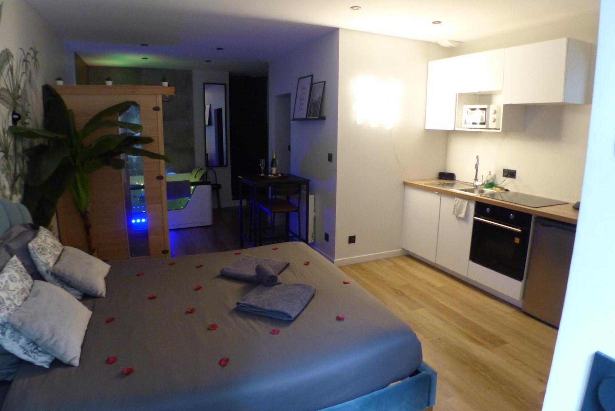נאנט Appartement Balneotherapie Et Sauna Hyper Centre מראה חיצוני תמונה