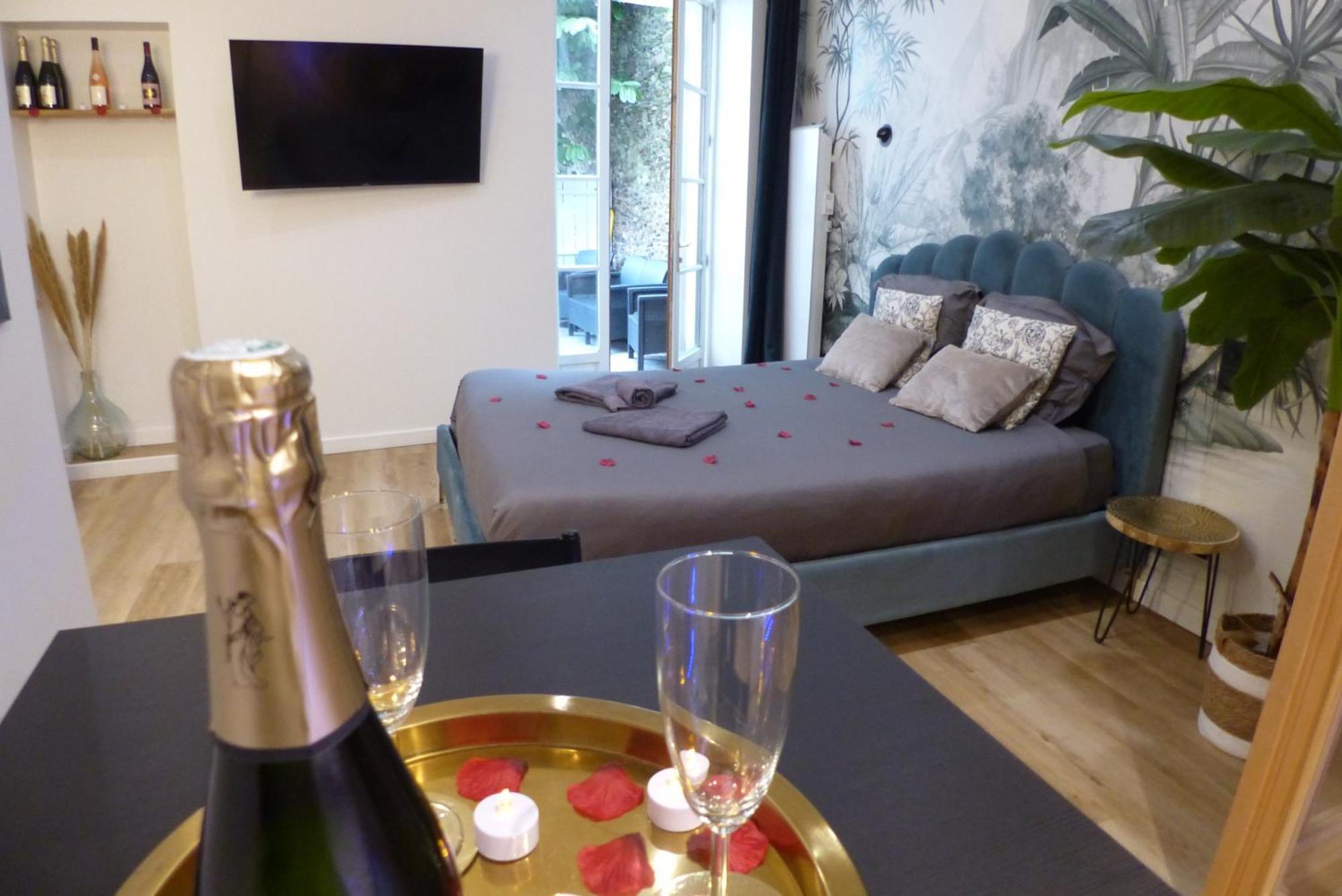 נאנט Appartement Balneotherapie Et Sauna Hyper Centre מראה חיצוני תמונה